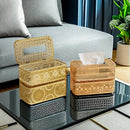 Luxury Golden Tissue Box: Axyaa Nordic Style Creative Home Decor
