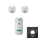 Axyaa Submersible LED Light Remote Pond Waterproof Pool Lamp for Vases Fish Tanks