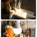 Axyaa LED Bright Indoor Light Bulb E27 Screw Energy Saving for Home and Office