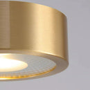 Axyaa Nordic LED Ceiling Lights Luxury Spotlights for Living Room Corridor Balconies