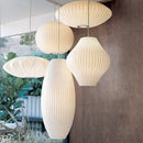 Axyaa White Fabric Lantern LED Pendant Chandelier for Modern Living Spaces