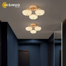 Axyaa Modern LED Gold Ceiling Light for Home Bedroom Living Room Kitchen