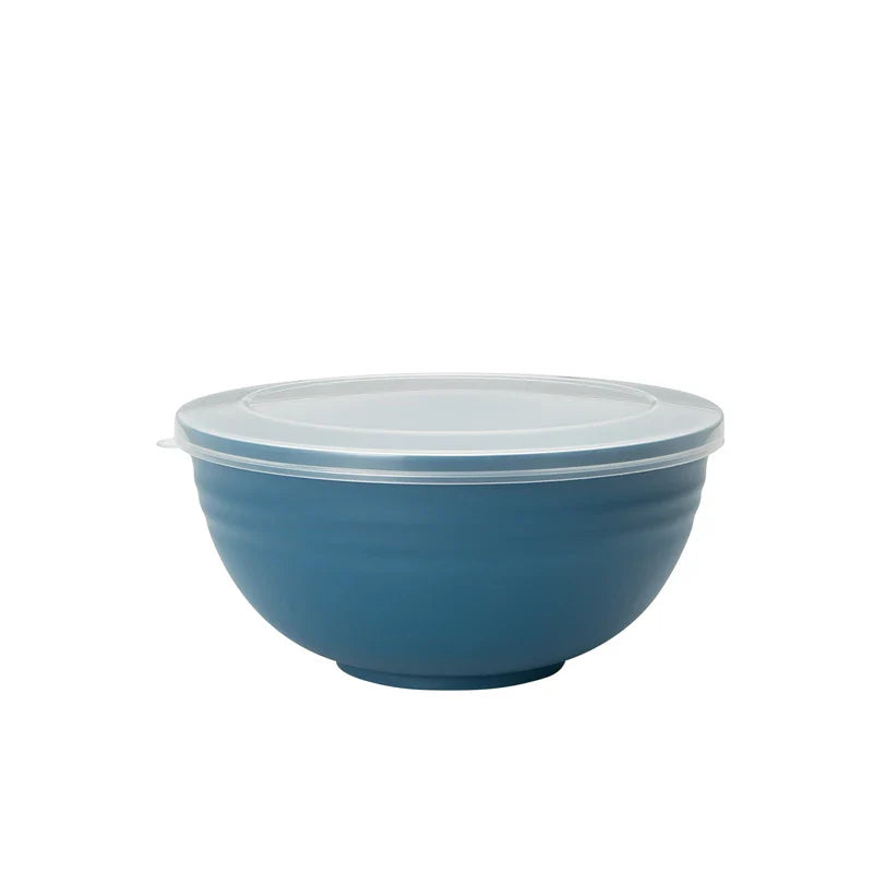 Axyaa 4pcs Bowl Set with Lid & Bento Box for Camping, Picnic, Kitchen Essentials