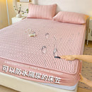 Axyaa Waterproof Cotton Bed Sheet - Antibacterial Mattress Cover
