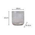 Axyaa Modern Glass Vase Hydroponic Flower Pot for Home Decor