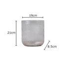 Axyaa Modern Glass Vase Hydroponic Flower Pot for Home Decor