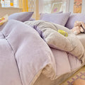 Axyaa Milk Velvet Winter Queen Duvet Cover Set, Soft & Cozy Coral Fleece Quilt