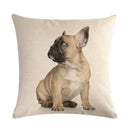 Axyaa Dog Cushion Covers Collection