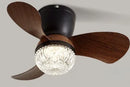Axyaa Ceiling Fan Light with Variable Frequency Control