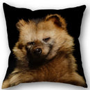 Axyaa Pomeranian Dog Pillowcase Cotton Linen Square Zipper 45X45cm Wedding Decor Pillow cover
