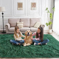 Axyaa Plush Green Area Rug for Modern Home Decor & Cozy Living Spaces