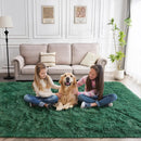 Axyaa Plush Green Area Rug for Modern Home Decor & Cozy Living Spaces