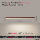 Axyaa Modern LED Ceiling Lamp | Living Room Kitchen Bedroom Office Lighting