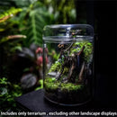 Axyaa Glass Bottle Dew Collection Micro Landscape Glass Vase Terrarium Home Decor