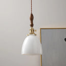 Axyaa Modern LED Pendant Light Glass Copper Nordic Hanging Lamp