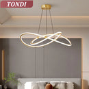 Axyaa LED Chandelier: Modern Ceiling Lights Fixture for Home Lighting, Living Room, Dining Room, Bedroom