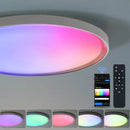 Axyaa Smart RGB Music Ceiling Light with Remote Control - Modern Dimmable AC220V