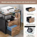 Axyaa Modern File Cabinet with Lockable Drawers and Door for Letter-sized Files