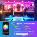 Axyaa RGB Smart Floodlight: 16 Million Colors, Adjustable, Wireless Connectivity
