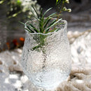 Axyaa Pleated Green Glass Vase for Hydroponics Flower Arrangement