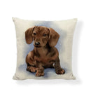 Axyaa Cute Animal Painted Cushion Covers for Home Decor and Gifts