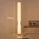 Axyaa Minimalist LED Floor Lamp, Remote Control Dimming, Nordic Ins Style