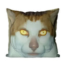 Axyaa Monday Left Me Broken Cat Mr. Peebles Throw Pillow Cover Square 45cm x 45cm