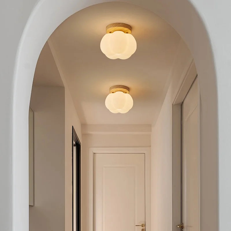 Axyaa Modern LED Ceiling Light for Indoor Lighting - Nordic Style Balcony Living Room Fixture
