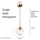 Axya Nordic Glass Pendant Lights for Home Lighting Fixtures