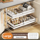 Axyaa Sliding Drawer Shelf Organizers for Kitchen Cabinet Storage