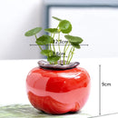 Axyaa Ceramic Persimmon Fruit Flower Pot for Home Decor