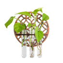 Axyaa Indoor Wall Planters with 3 Test Tubes Propagation Station for Home Office