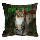 Axyaa Cat Print Linen Throw Pillowcase 45X45CM