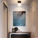 Axya Glass Ball Ceiling Light for Modern Home Decor and Living Room Fixtures
