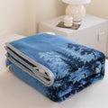 Axyaa Cartoon Pattern Flannel Blanket: Cozy Soft Plush Lightweight Throw for Sofa