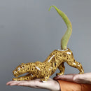Axyaa Animal Print Flower Vase Tail Flowerpot for Plants - Garden Accessories