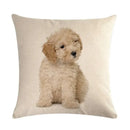 Axyaa Dog Cushion Covers Collection
