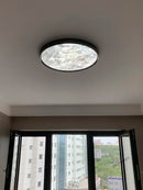 Axyaa Full Spectrum LED Ceiling Lamp for Living Room Bedroom, Nordic Modern Design