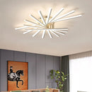 Axyaa LED Ceiling Chandelier Modern Indoor Lighting for Living Room Bedroom Hallway