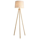 Nordic Reid Floor Lamp by Axyaa - Retro Minimalist Design with LED Lighting