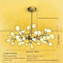 Axyaa Nordic Acrylic Chandelier with Glowworm Lighting for Living Room or Kitchen