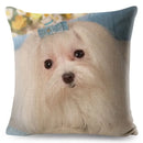 Maltese Dog Pillow Cover by Axyaa - Decorative Cushion Case for Home and Car