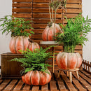 Axyaa Pumpkin Flower Vase for Garden and Courtyard Decoration - Ceramic Succulent Pot