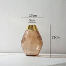 Axyaa Transparent Glass Vase Flower Arrangement Home Decor Accessory