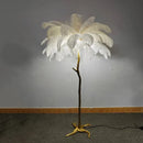 Axyaa Luxury Ostrich Feather Floor Lamp: Perfect for Decor and Live Broadcasts
