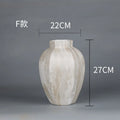 Axyaa Modern Ceramic Vases for Stylish Living Room Entrance Decor