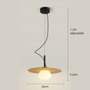Axyaa Modern Minimalist Pendant Lights for Restaurant, Bar, and Home Dining Tables