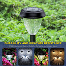 Axyaa Solar Pathway Lights 10 Pack - Super Bright LED Landscape Lighting