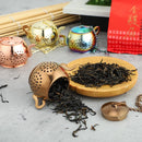 Axyaa Teapot Tea Strainer with Lid and Chain for tea brewing