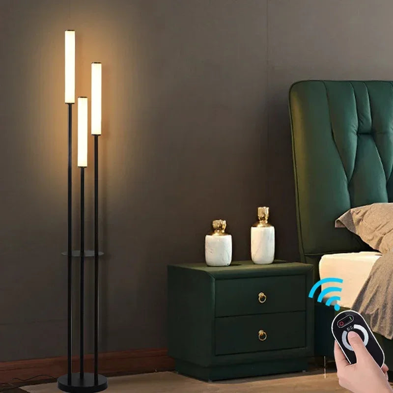 Axyaa Nordic Living Room LED Floor Lamp - Modern, Simple, Infinite Dimming